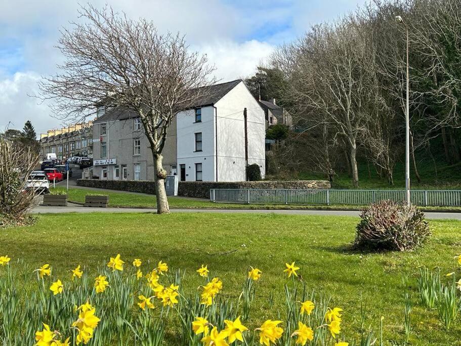 Caernarfon Modern Townhouse Snowdonia 빌라 외부 사진
